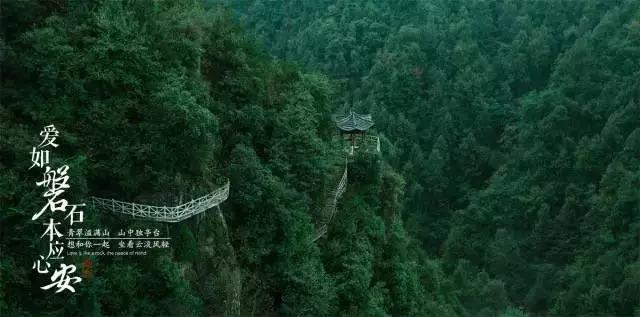 发掘知识星球平台,探索无限智慧!